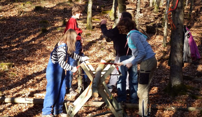 Lernen und Arbeiten im Wald